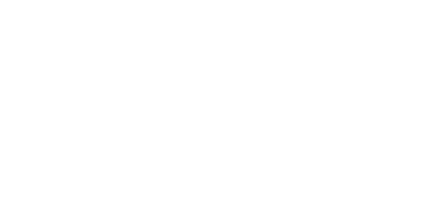 VeriSilicon
